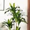 Glitzhome® 4.5ft. Faux Dracaena Fragrans Plant in Pot